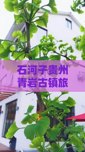 石河子去贵州青岩古镇个人游