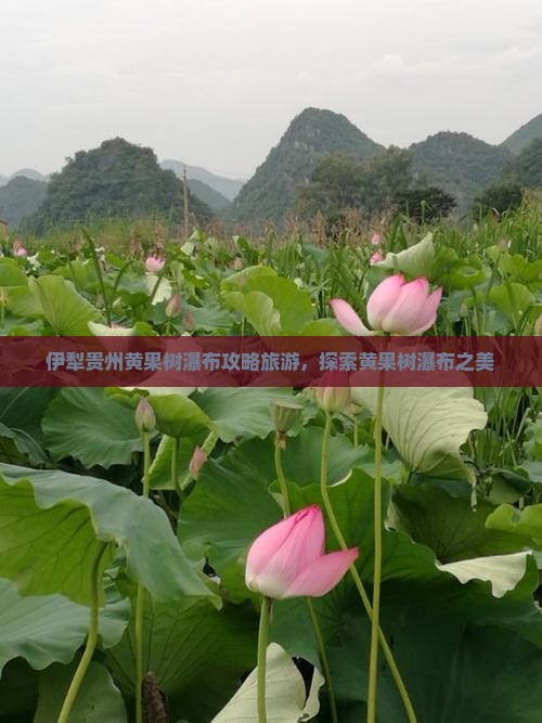 伊犁哈萨克去贵州黄果树瀑布旅行社