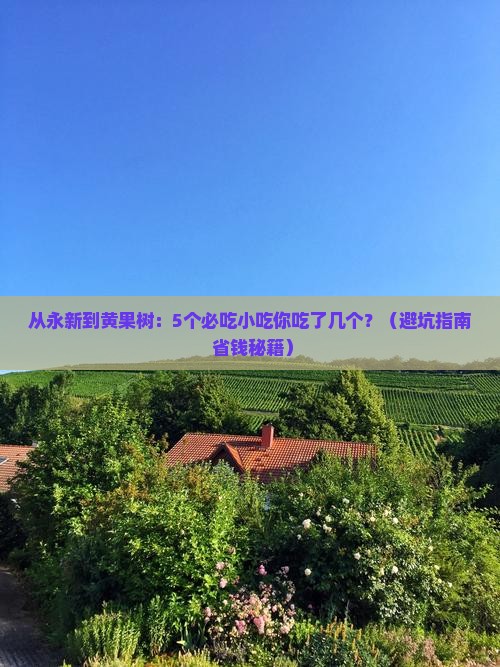 永新到贵州黄果树瀑布旅游小吃
