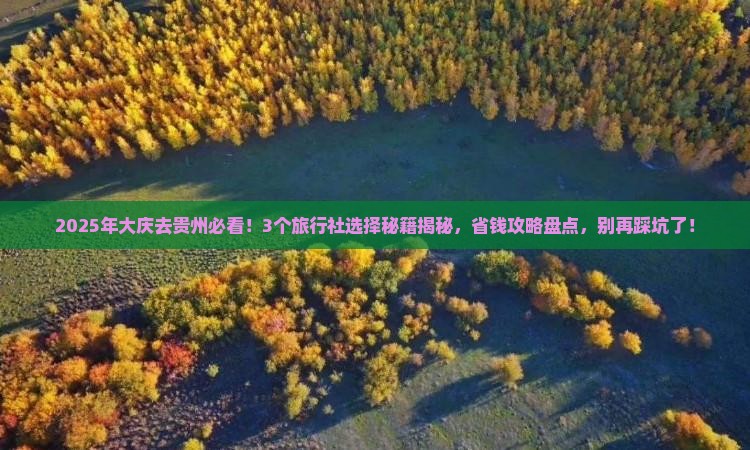 大庆去贵州旅行社