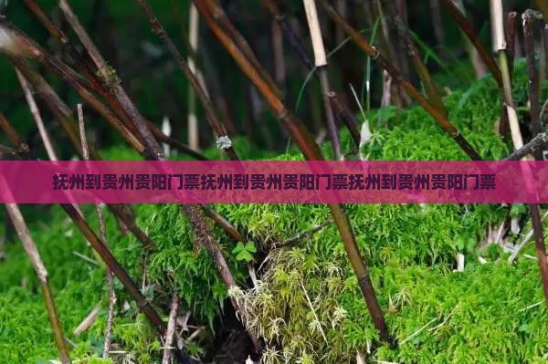 抚州到贵州贵阳门票