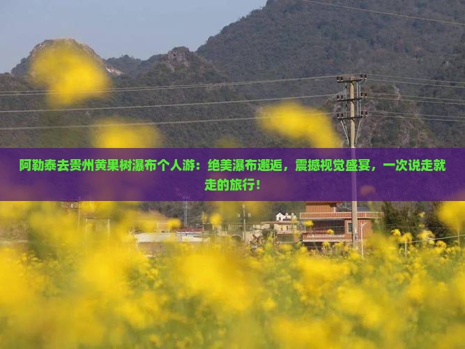阿勒泰去贵州黄果树瀑布个人游