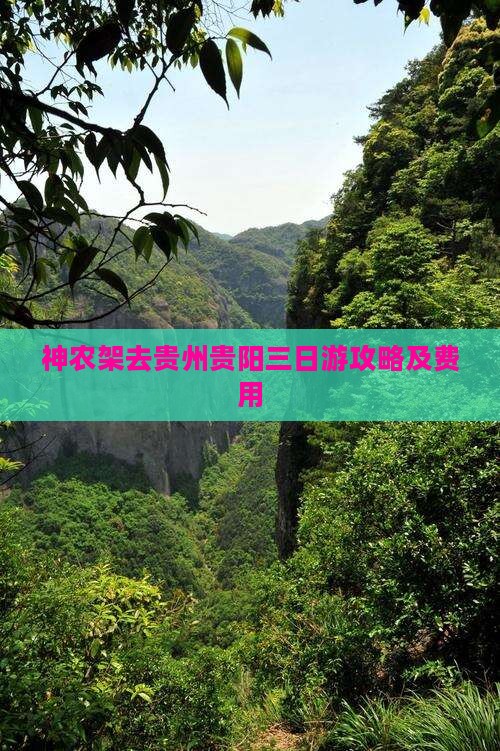 神农架去贵州贵阳三日游