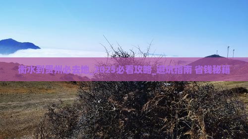 衡水到贵州必去地