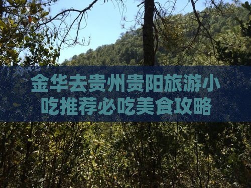 金华去贵州贵阳旅游小吃