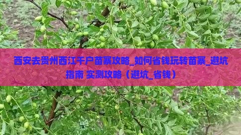 西安去贵州西江千户苗寨攻略
