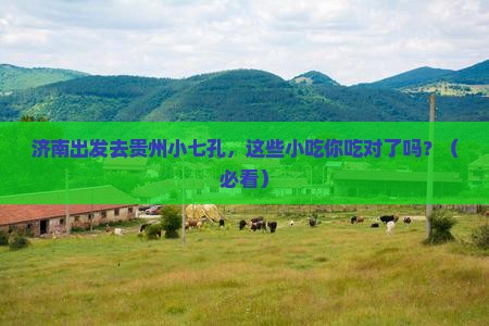 济南去贵州小七孔旅游小吃