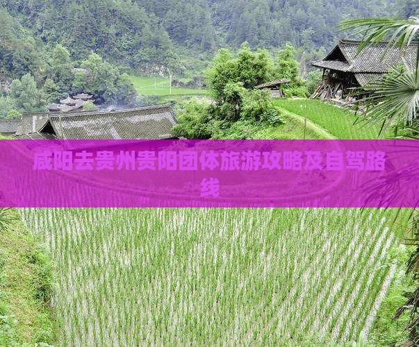 咸阳去贵州贵阳团体旅游
