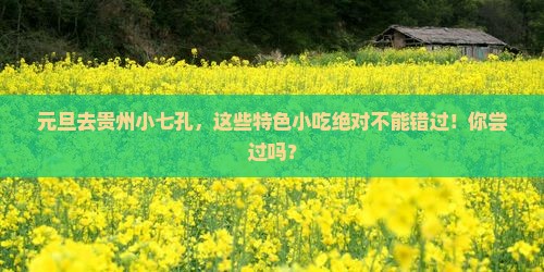 元旦去贵州小七孔旅游小吃