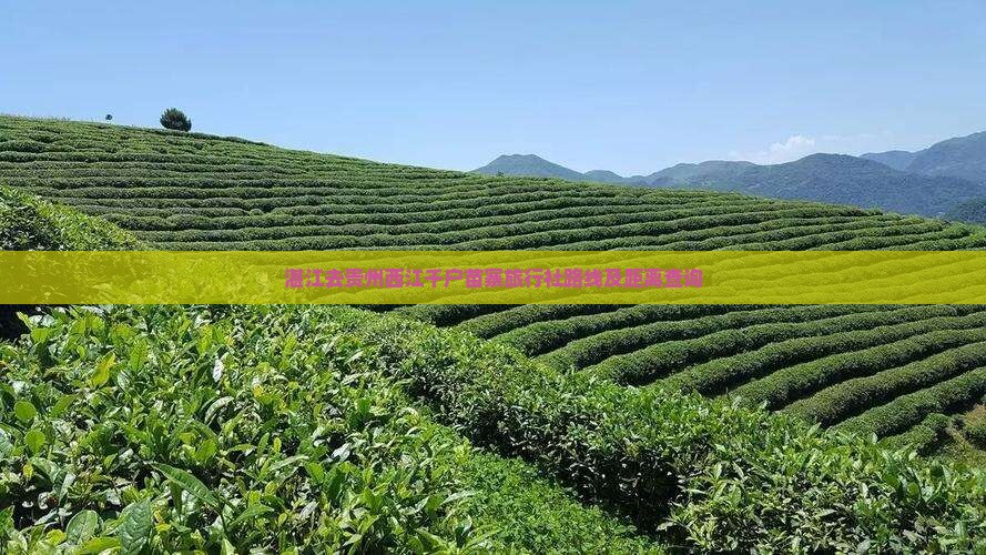 湛江去贵州西江千户苗寨旅行社