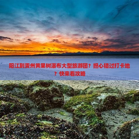阳江到贵州黄果树瀑布大型旅游团
