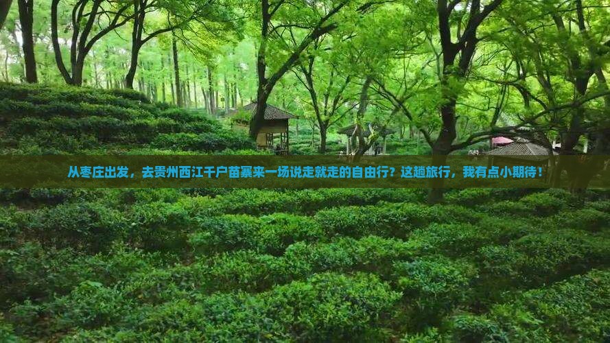 枣庄到贵州西江千户苗寨自由行