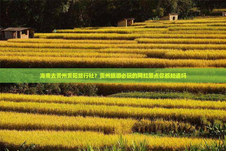 海南去贵州贵阳旅行社