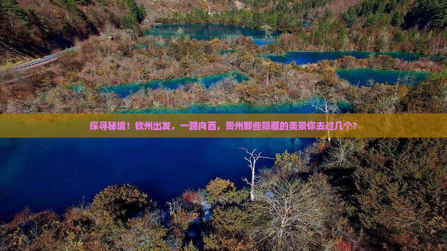 钦州到贵州景点