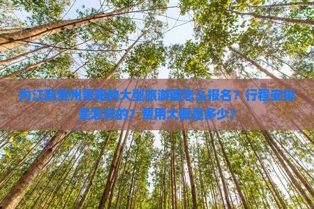 内江到贵州贵阳大型旅游团
