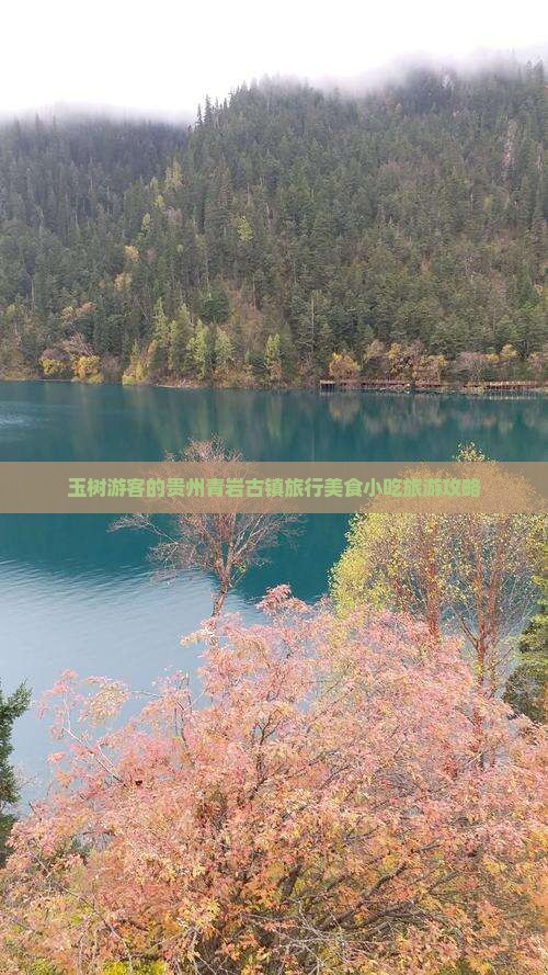 玉树去贵州青岩古镇旅游小吃