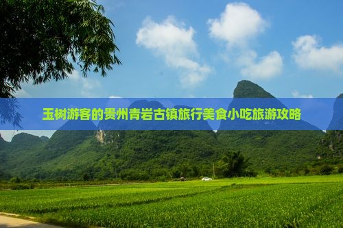 玉树去贵州青岩古镇旅游小吃