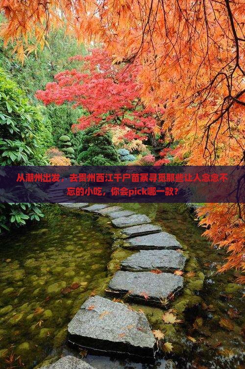 潮州到贵州西江千户苗寨旅游小吃