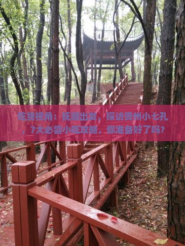 抚顺去贵州小七孔旅游小吃
