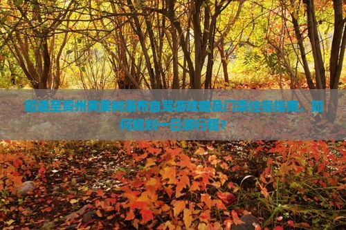 昭通到贵州黄果树瀑布个人游