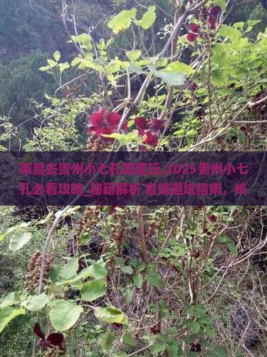 南昌去贵州小七孔哪里玩