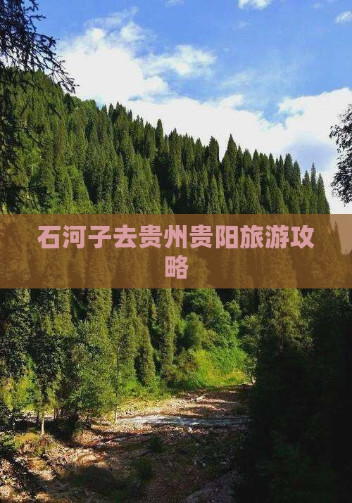 石河子去贵州贵阳旅游
