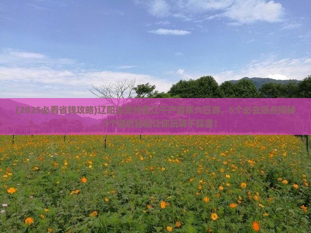 辽阳去贵州西江千户苗寨六日游