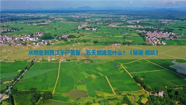 哈密去贵州西江千户苗寨五日游