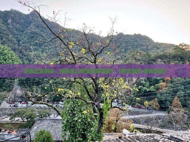 定西到贵州贵阳大型旅游团