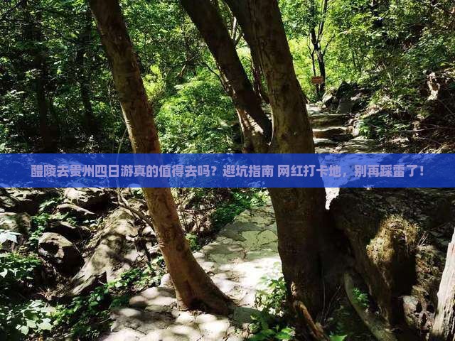 醴陵去贵州四日游