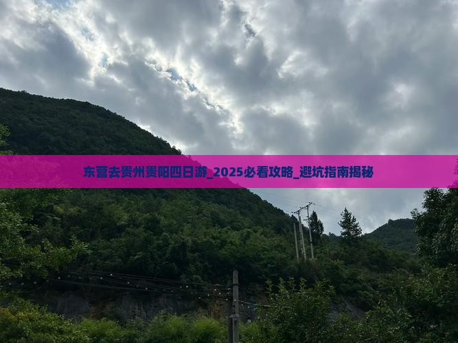 东营去贵州贵阳四日游