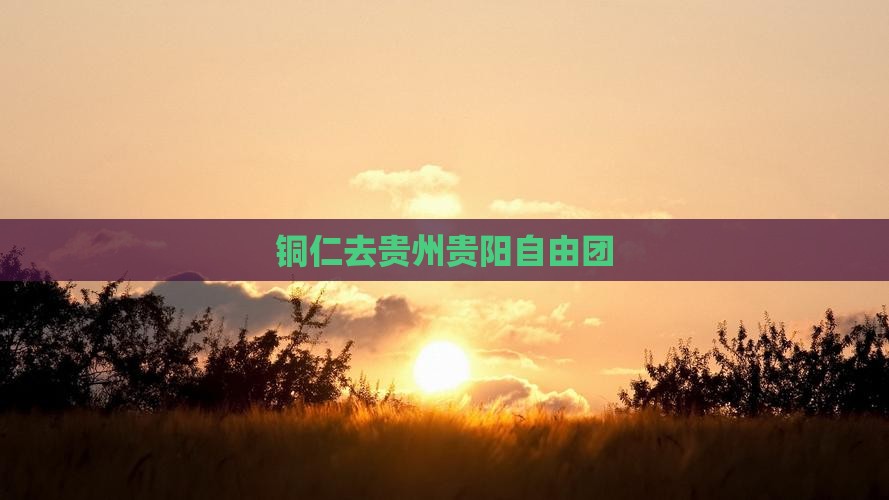 铜仁去贵州贵阳自由团