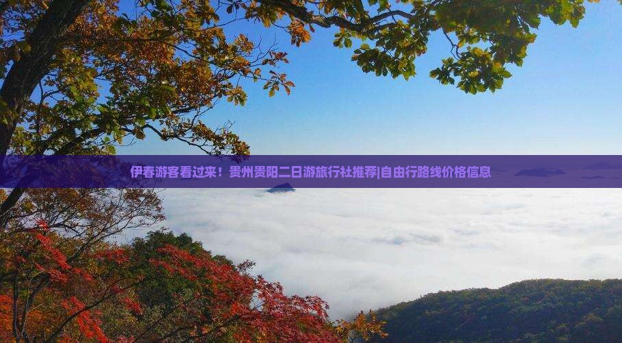 伊春游客看过来！贵州贵阳二日游旅行社推荐|自由行路线价格信息
