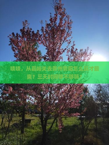 嘉峪关到贵州贵阳三日游