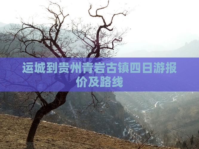 运城到贵州青岩古镇四日游