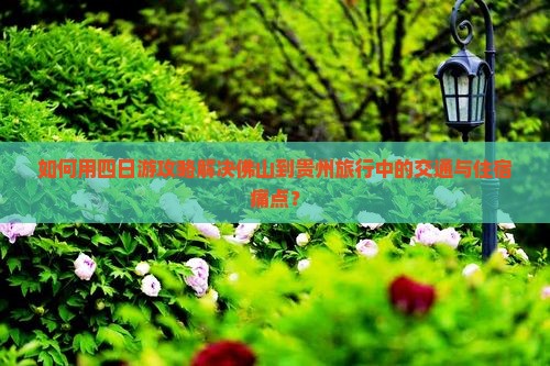 佛山去贵州四日游
