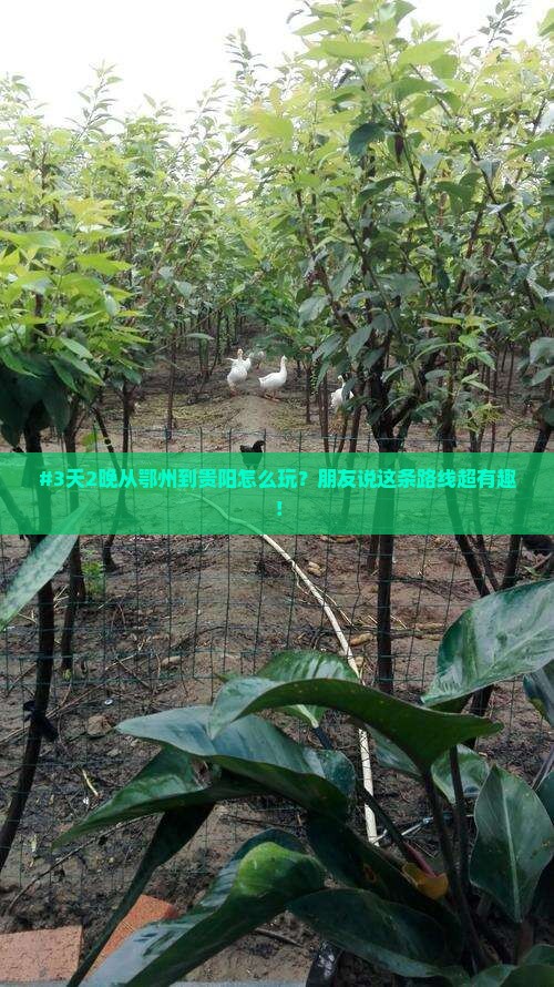 鄂州去贵州贵阳二日游