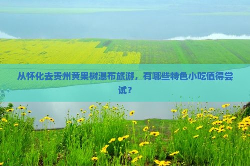怀化到贵州黄果树瀑布旅游小吃