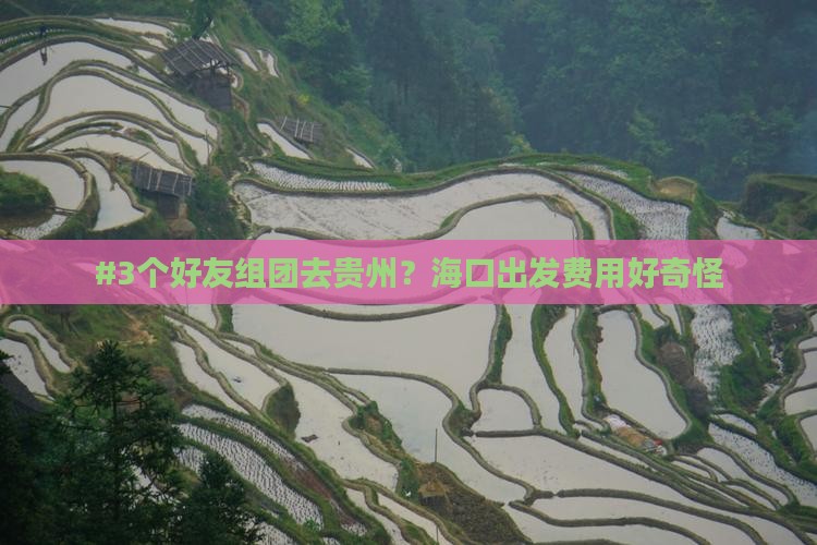 海口到贵州团体旅游