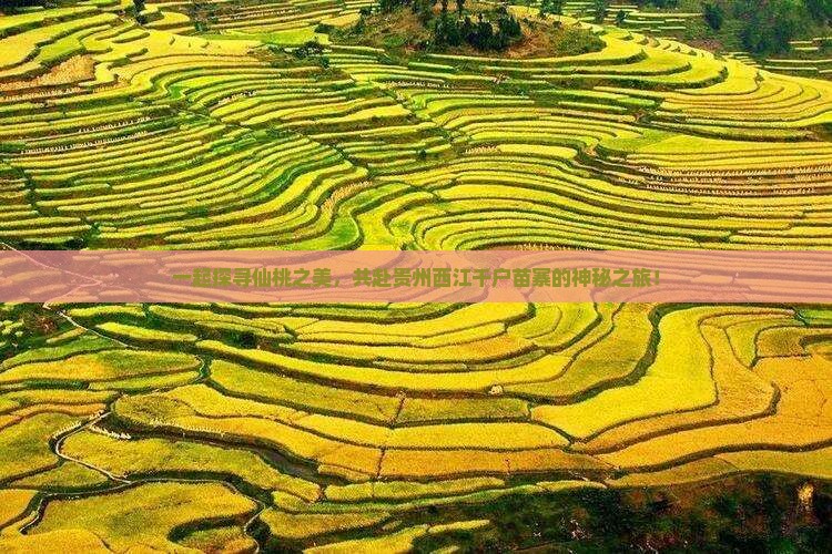 仙桃到贵州西江千户苗寨团体旅游
