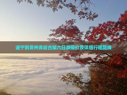 遂宁到贵州青岩古镇六日游