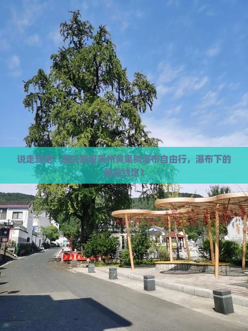韶关去贵州黄果树瀑布自由团