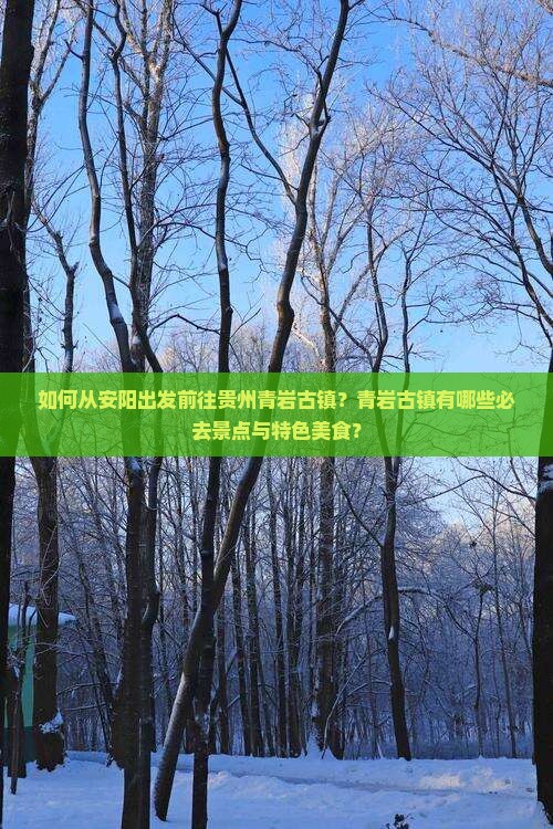 安阳去贵州青岩古镇必去地