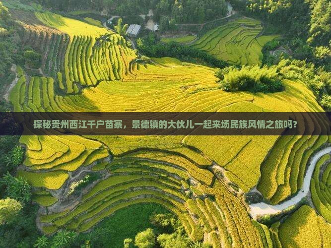 景德镇去贵州西江千户苗寨大型旅游团
