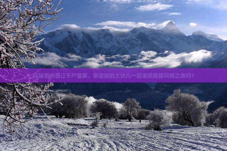 景德镇去贵州西江千户苗寨大型旅游团
