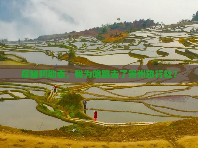 阿勒泰去贵州旅行社