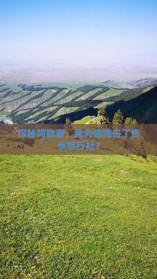 阿勒泰去贵州旅行社