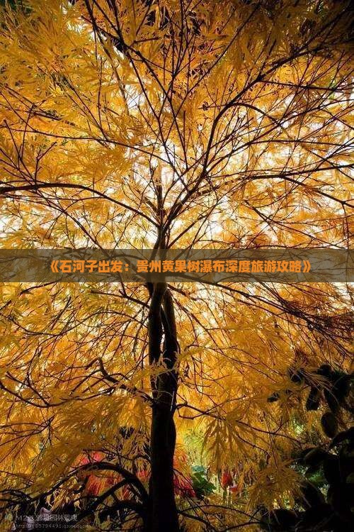 石河子到贵州黄果树瀑布旅游