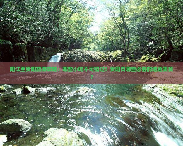 阳江到贵州贵阳旅游小吃