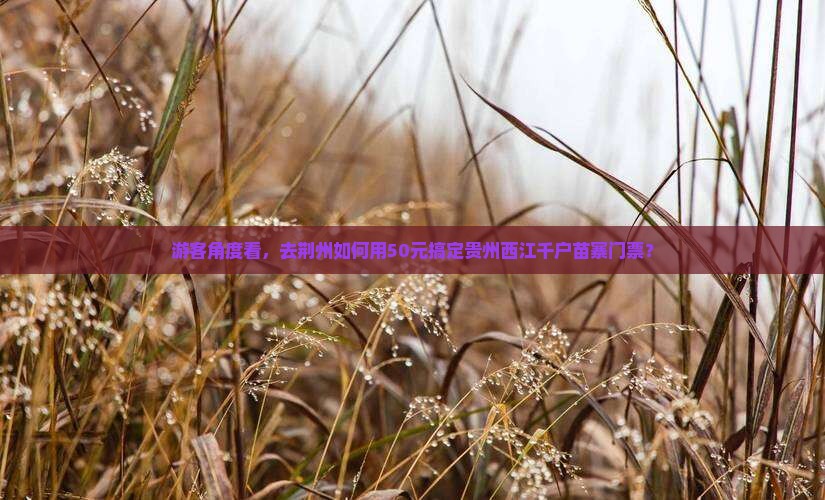 荆州去贵州西江千户苗寨门票